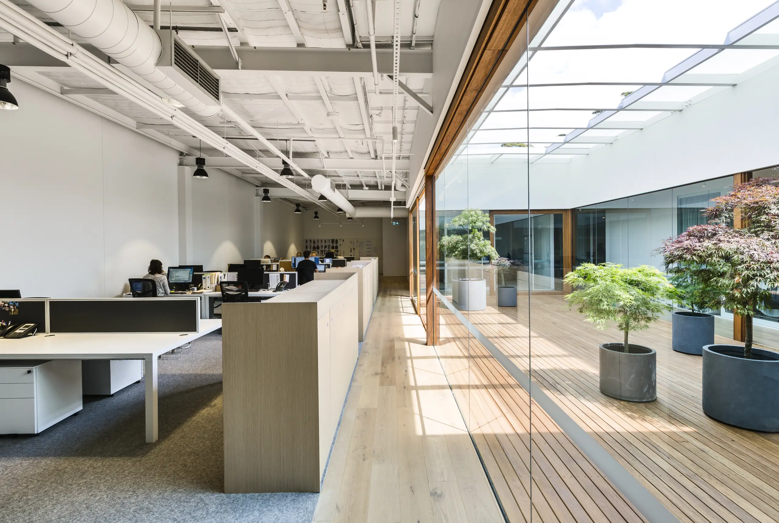 Bassike open plan office, Warriewood